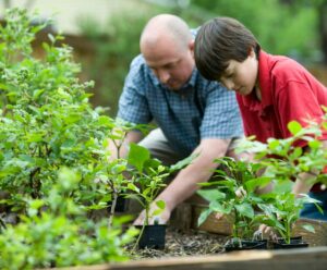 Lees meer over het artikel Vlaamse gezinnen tevreden met hun woning, maar maken zich zorgen over aankoop woning voor hun kinderen