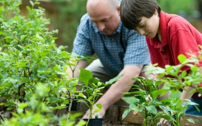Vlaamse gezinnen tevreden met hun woning, maar maken zich zorgen over aankoop woning voor hun kinderen