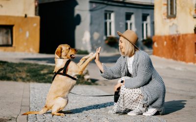1 chien par famille, une bonne idée ?